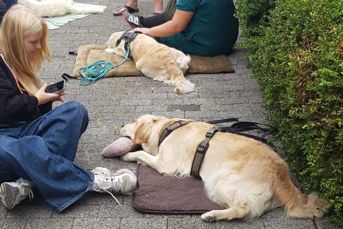 Ella, Ellie & Lua II