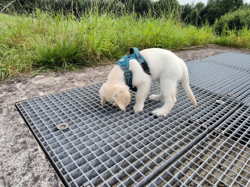 Gewööhnung Untergrund