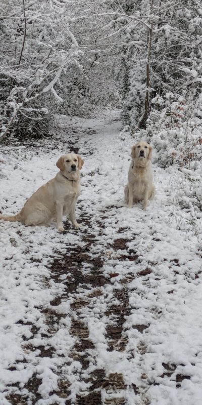 Januar Schnee