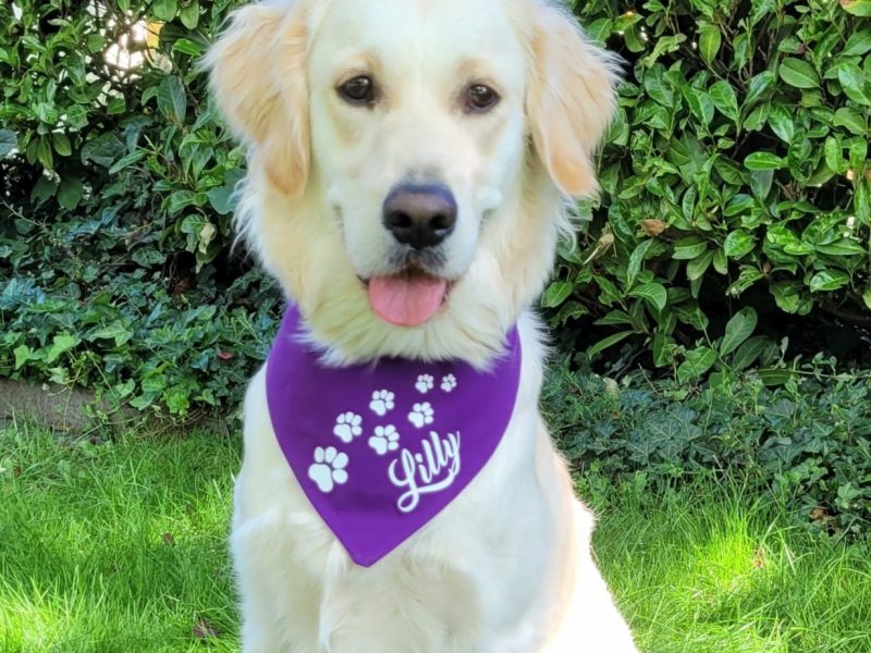 Lilly